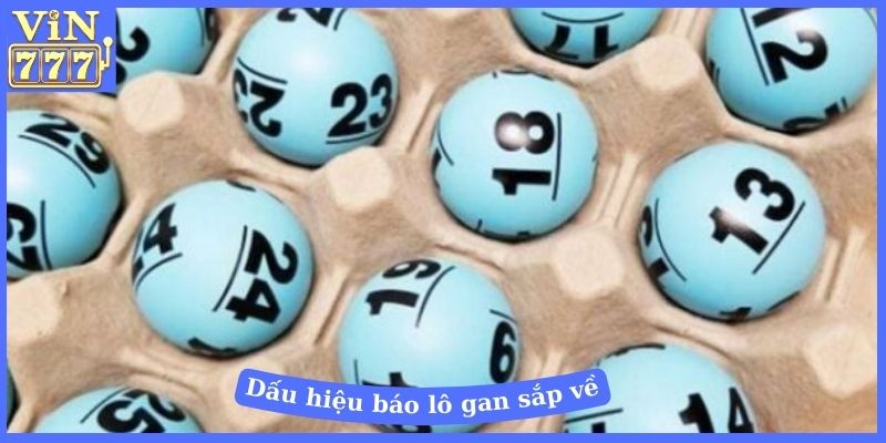 Dấu hiệu báo lô gan sắp về