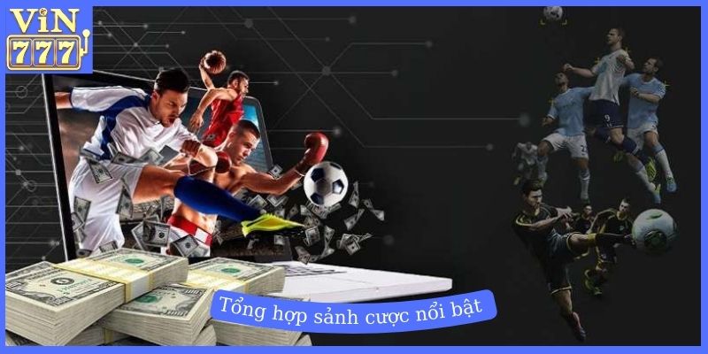 Tổng hợp các sảnh cược thể thao nổi bật